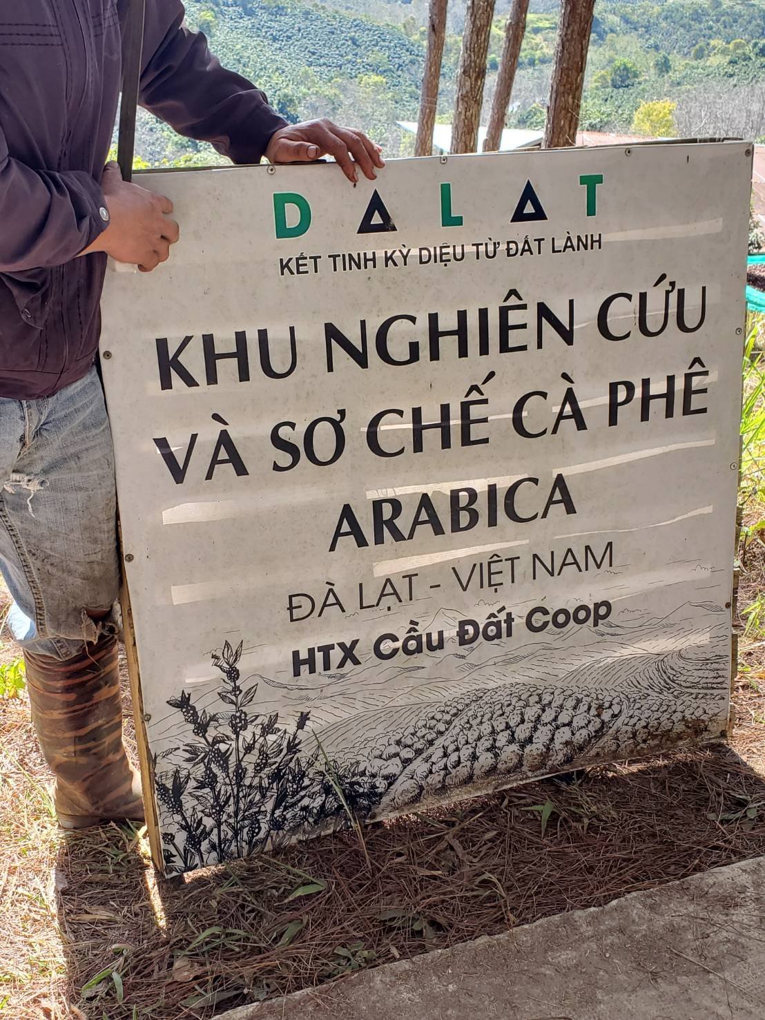 HTX Cau Dat Coop